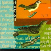 Orinthology_2008_12x12tx_card