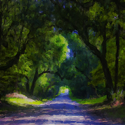 Summer_lane_card