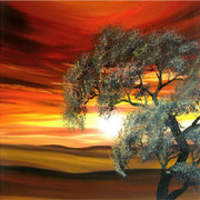 55b_card