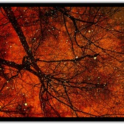 Kraft_card