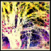 ______4148-2_card