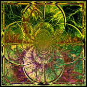 ______4709-3_card