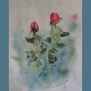 128_card