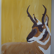 Pb170810_card