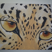 Pb170808_card