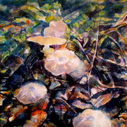 P1012786_01_card