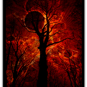 Untitled-2f_card