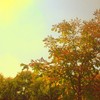 Hello_autumn_small_thumb