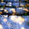 On_autumn_s_steps_small_thumb