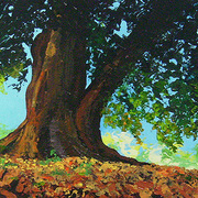 P7170003_card