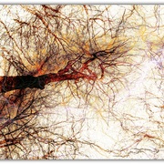 Untitled-91_card