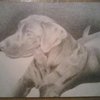 011900_2239_5b01_5d_1__thumb