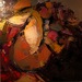 Ma-danae-1_square