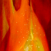 A_beauty_in_death_thumb