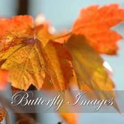 Dsc_1948_card