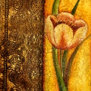 016_card