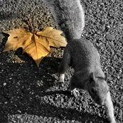 _dsc0369_card