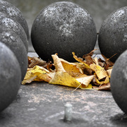_dsc0212_card