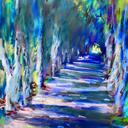 A_path_through_card