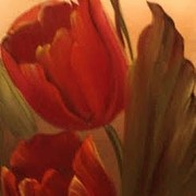 Pqaaamiclwxnu-6cok3kumpkekadeifwwz0yatiunm50c1mnceklz15yxiyuie3ihi94prqvelco5ccct7bcndxdj7iam1t1ugpltwi0thobl_vl-fcsyualkaxp_card
