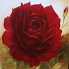 Pqaaac_ql8tnfb8iym5fpugdzq3xioif7wbremx1tcevz4x-qc5ip5lshoo6opl2ufzxupox7-r5nv0tihja2qcckq4am1t1uaduflqmrjxqvq9sttkk4_e1cqb3_thumb