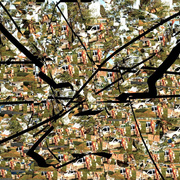 6366733371_b6a4d2941f_bneu_card
