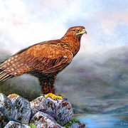 Goldeneagle_card