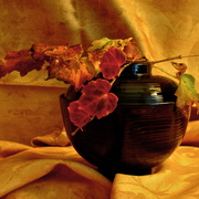 Dsc06292_card
