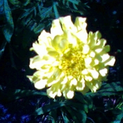 Photo-0001_card
