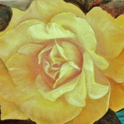 A_inset_card