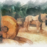 Horse_power_card