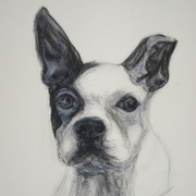 Sannyportrait_hp_card