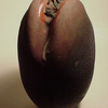 Jaws3a_thumb