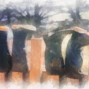 Boots_on_a_fence_card
