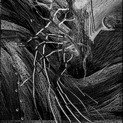 Swiat_card