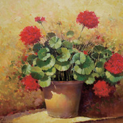Imagen_013_card