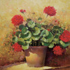 Imagen_013_thumb