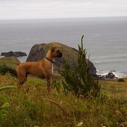 P6280012_card