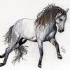 Horse_thumb
