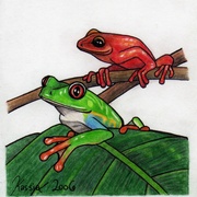 Frogs_card