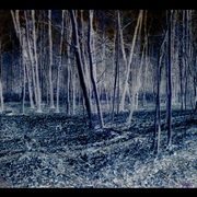 Untitled-81_card