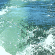 Waters_action_card