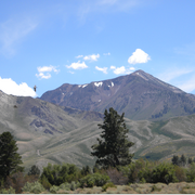 Scenic_route_395_card