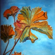 Picture_136_card