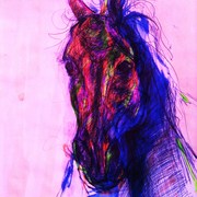 Img_0053_card