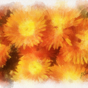 Black_friday_flowers_card