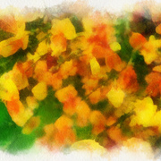 Black_friday_flowers2_card