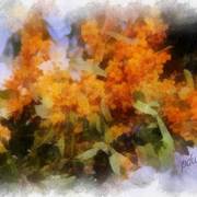 Black_friday_flowers3_card
