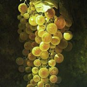 Uvas_100_x_81_card