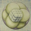 Orbs_thumb